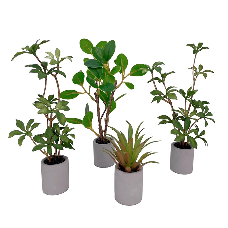 Bonsai Garden Accessories - 1:6 دمية مصغرة بوعاء النبات الأخضر