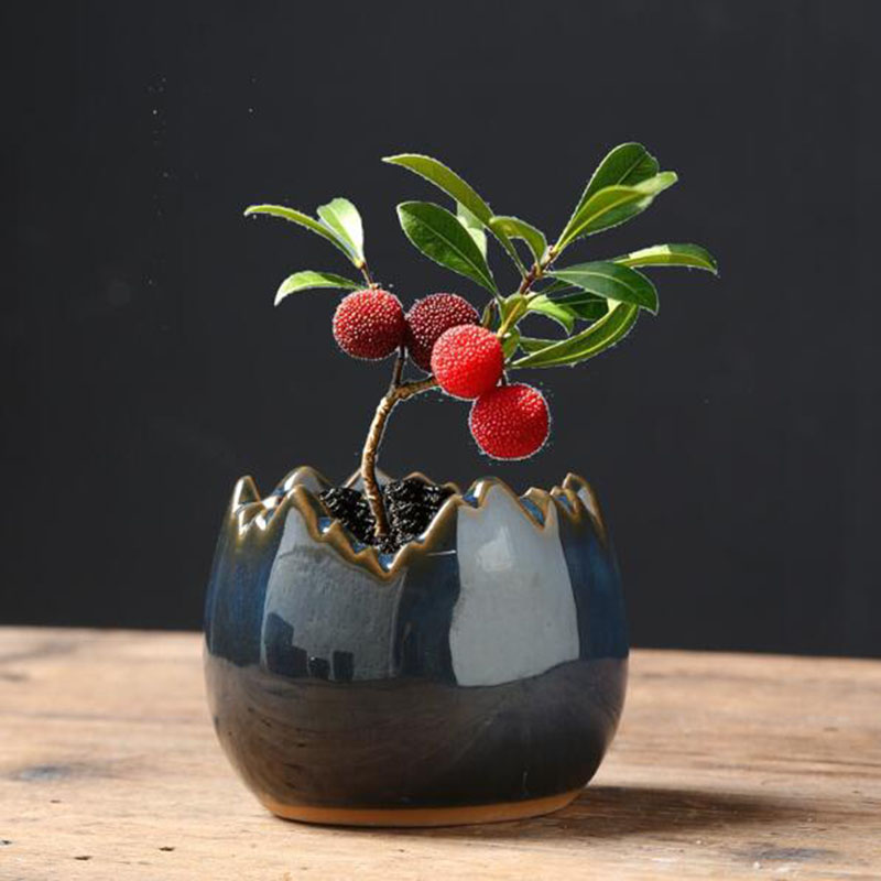 Bonsai Garden Home - إناء زهور مزجج بتأثير الفرن على