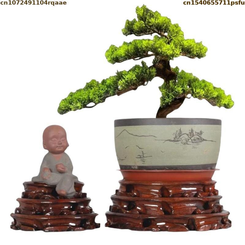 Bonsai Garden Display - 6-30 سنتيمتر القطر الدائمة زهرة قاعدة