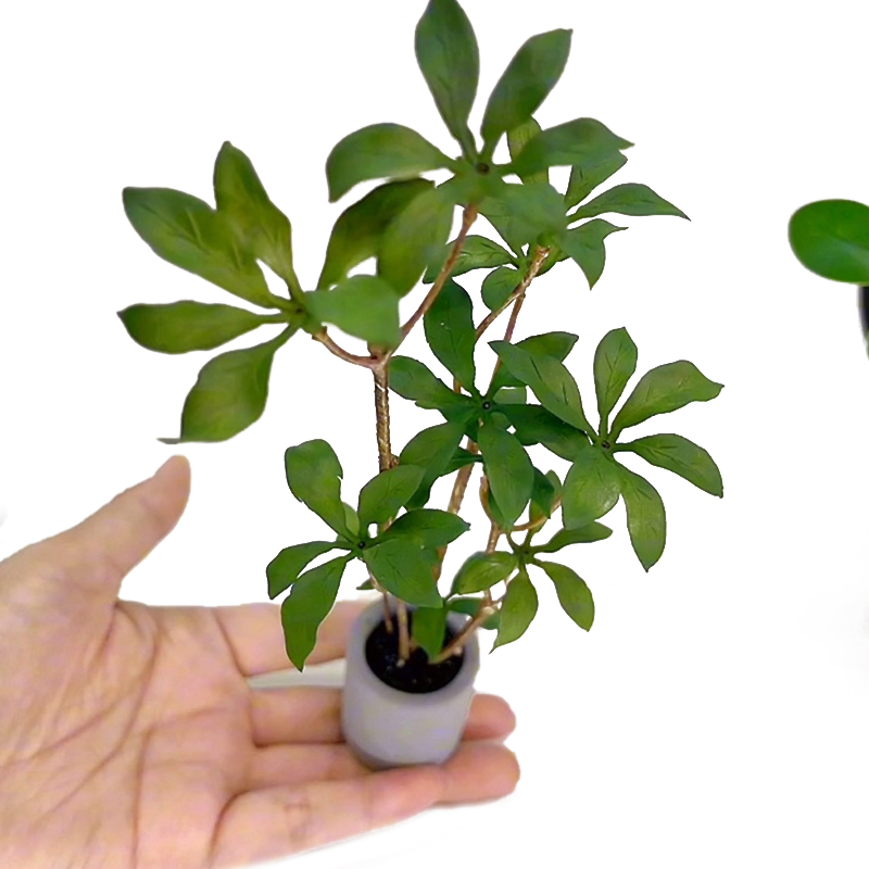 دمية مصغرة نموذج نباتات بوعاء  - مراجعة Bonsai Garden Accessories وسعره