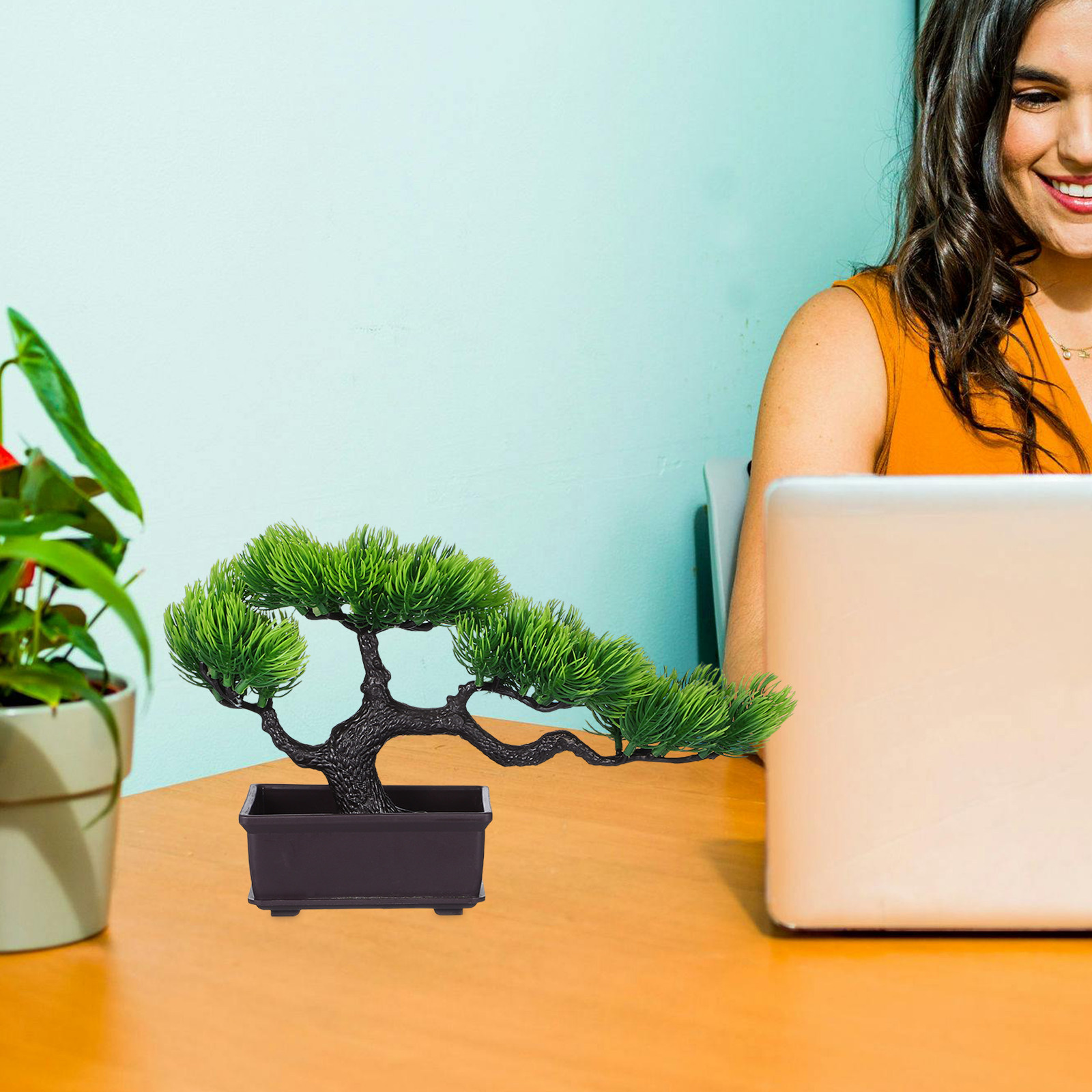 شجرة بونساي اصطناعية في وعاء،  - مراجعة Bonsai Garden Display وسعره