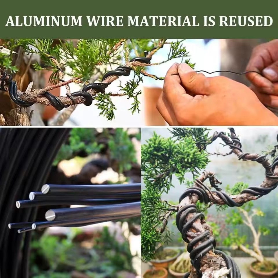 سلك تشكيل النباتات وملحقات الح - مراجعة Bonsai Garden Accessories وسعره