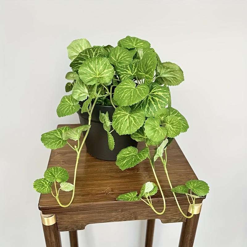 نبات صناعي معلق على شكل نبات م - مراجعة Bonsai Garden Home وسعره