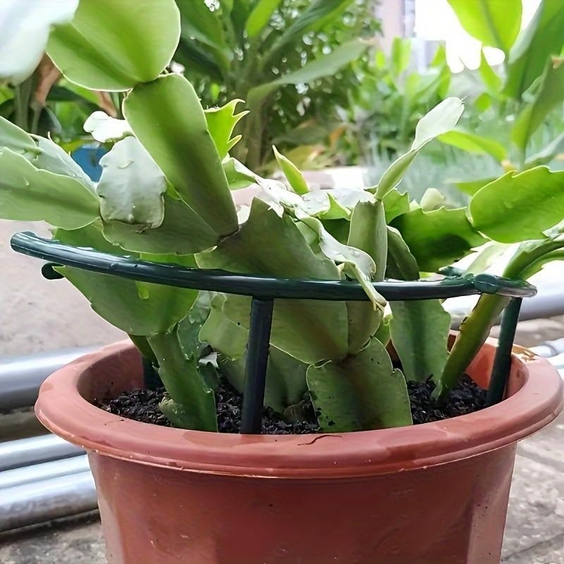 30-1 قطعة دعامة نباتات بلاستيك - مراجعة Bonsai Garden Accessories وسعره