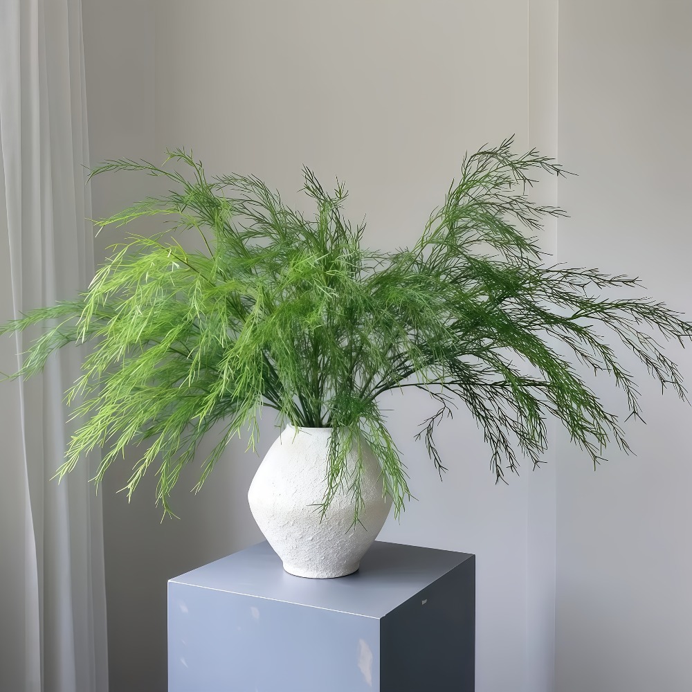 3 قطع من إكليل عشب القصب الاصط - مراجعة Bonsai Garden Home وسعره