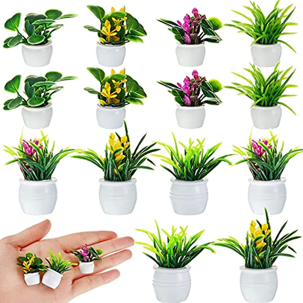 نبات بيت الدمى، نبات بونساي مص - مراجعة Bonsai Garden Accessories وسعره