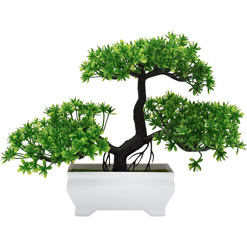 نبات صناعي بيونيك من البلاستيك - مراجعة Bonsai Garden Home وسعره