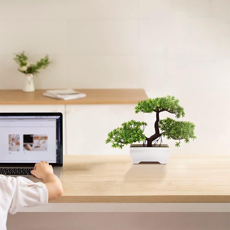 نبات صناعي بيونيك من البلاستيك - مراجعة Bonsai Garden Home وسعره