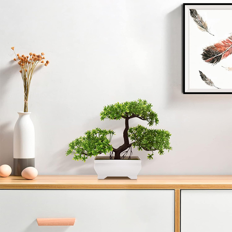 نبات صناعي بيونيك من البلاستيك - مراجعة Bonsai Garden Home وسعره