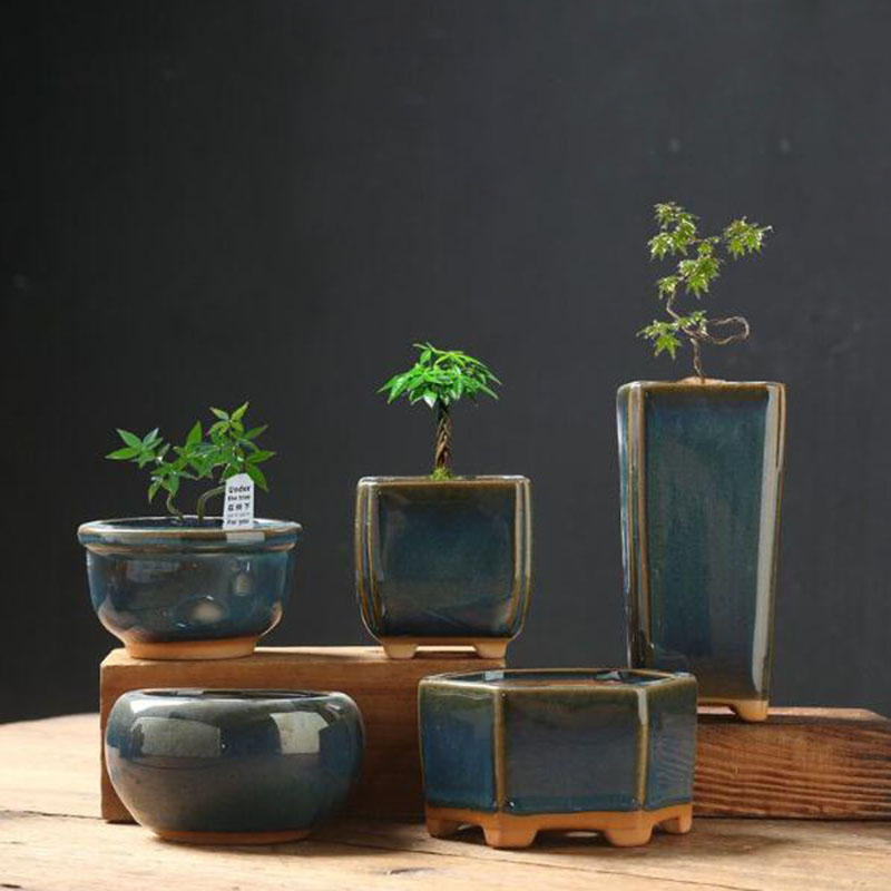 إناء زهور مزجج بتأثير الفرن عل - مراجعة Bonsai Garden Home وسعره