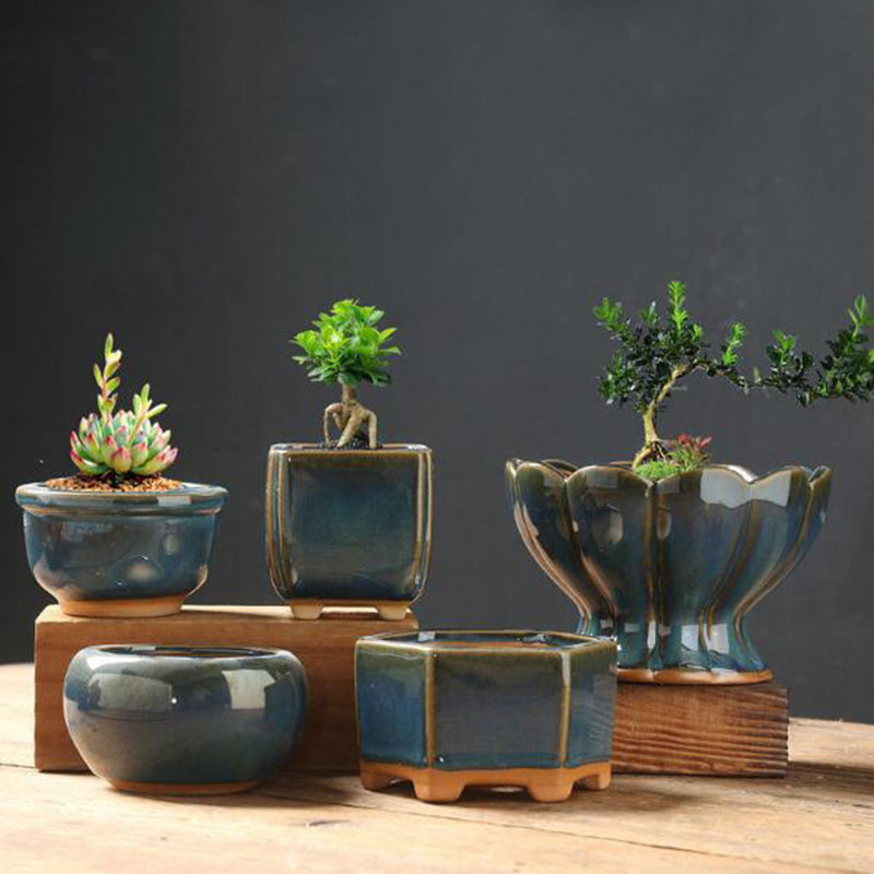 إناء زهور مزجج بتأثير الفرن عل - مراجعة Bonsai Garden Home وسعره