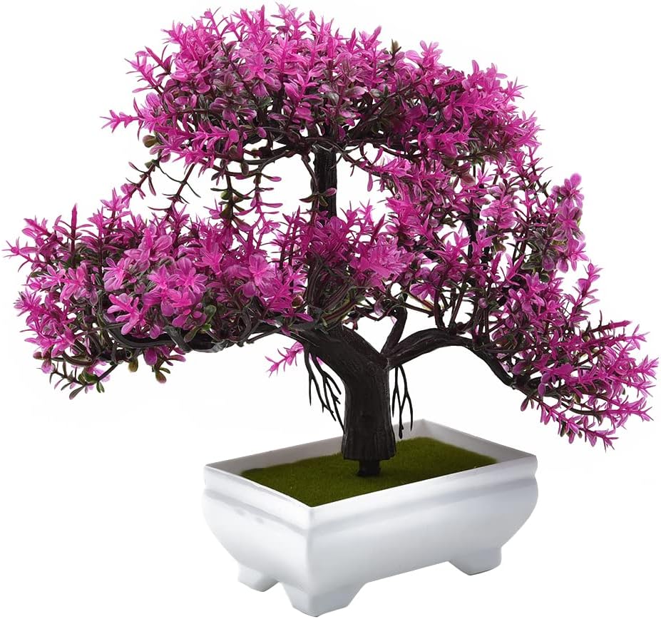 نباتات اصطناعية بونساي نبات صن - مراجعة Bonsai Garden Home وسعره